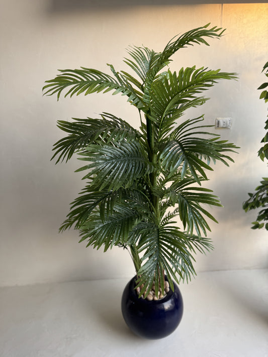 areca tree